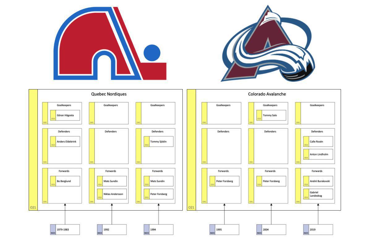 Quebec Nordiques - a study of an organization in development