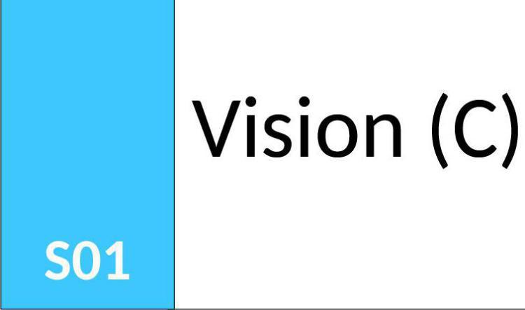 S01 Vision