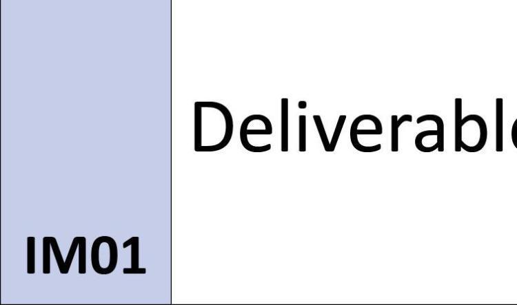 IM01 Deliverable (C)