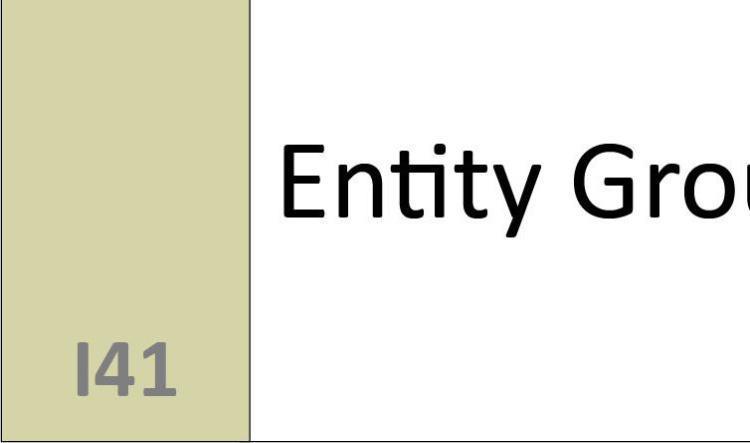 I41 Entity Group