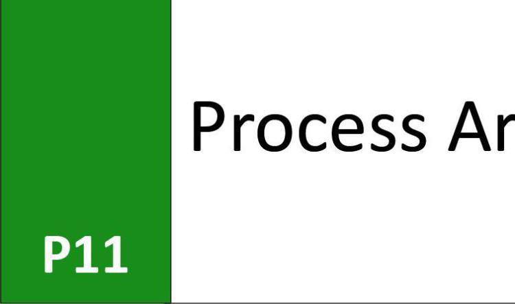 P11 Process Area
