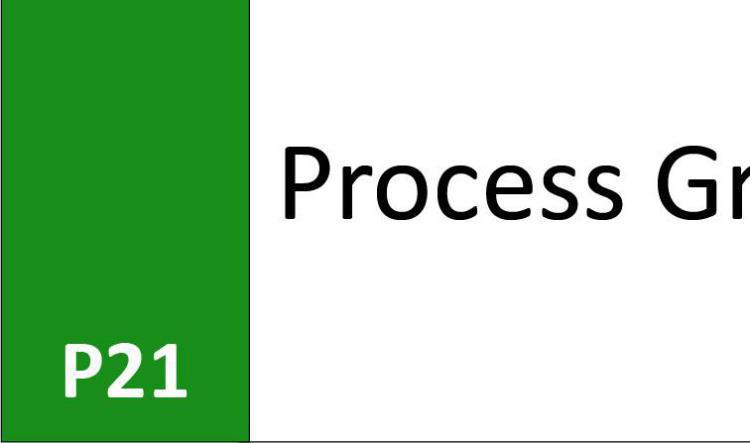 P21 Process Group