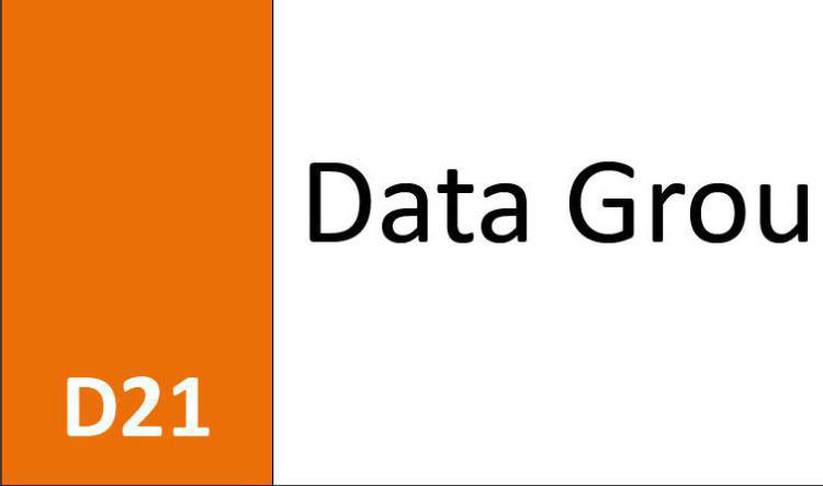D21 Data Group
