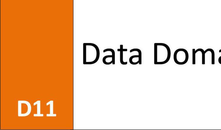 D11 Data Domain
