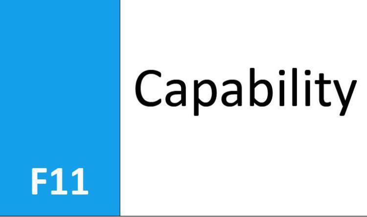 F11 Capability Area