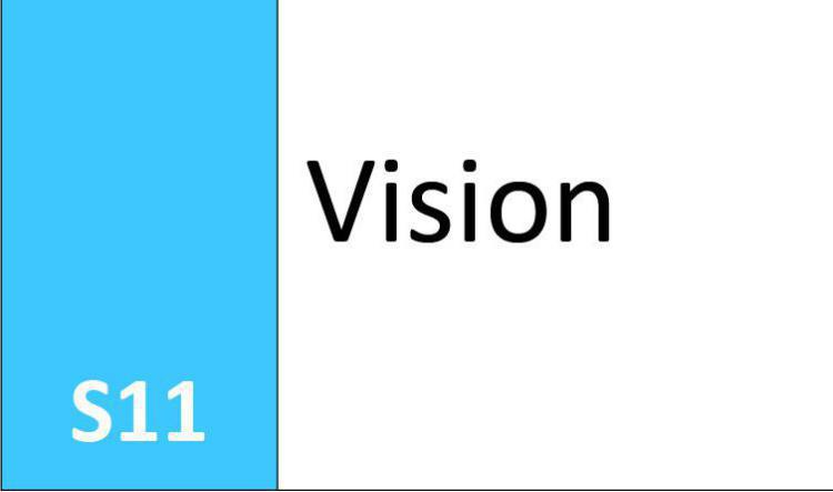 S11 Vision