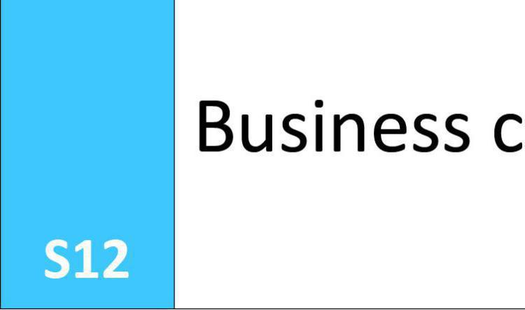 S12 Business concept