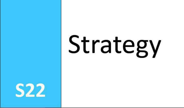 S22 Strategy
