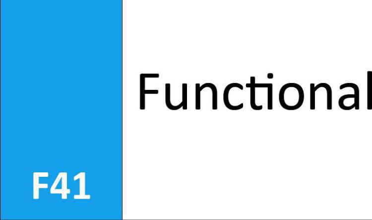 F41 Functional Capability 