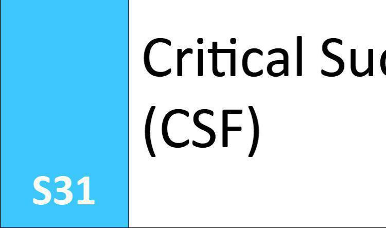 S31 Critical Success Factor (CSF)