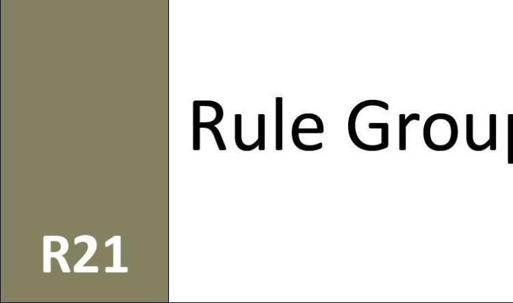 R21 Rule Group