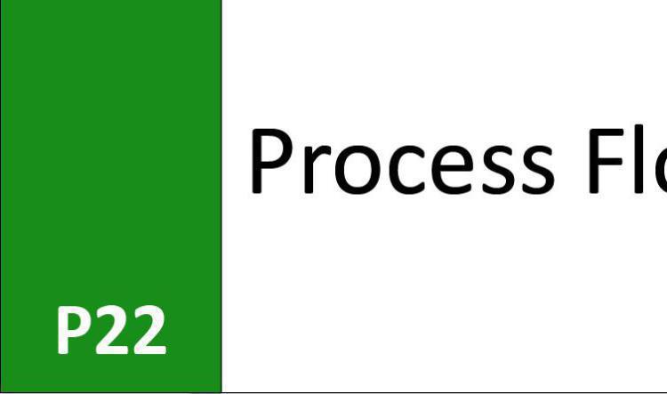 P22 Process flow