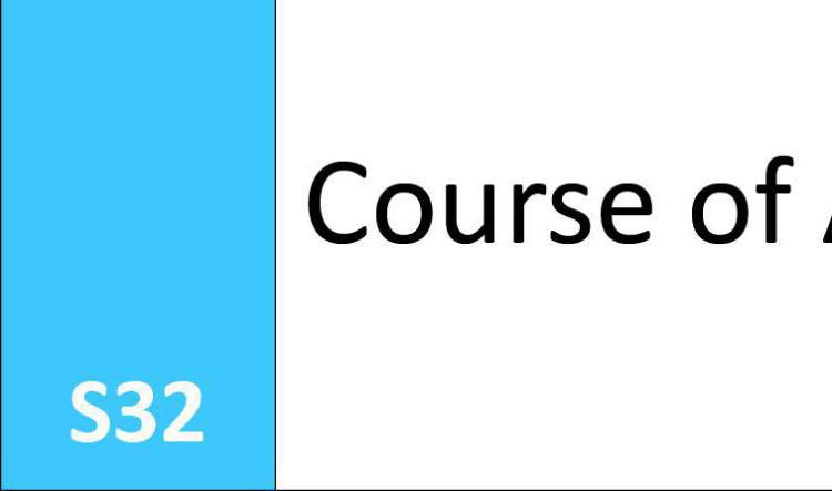 S32 Course of Action