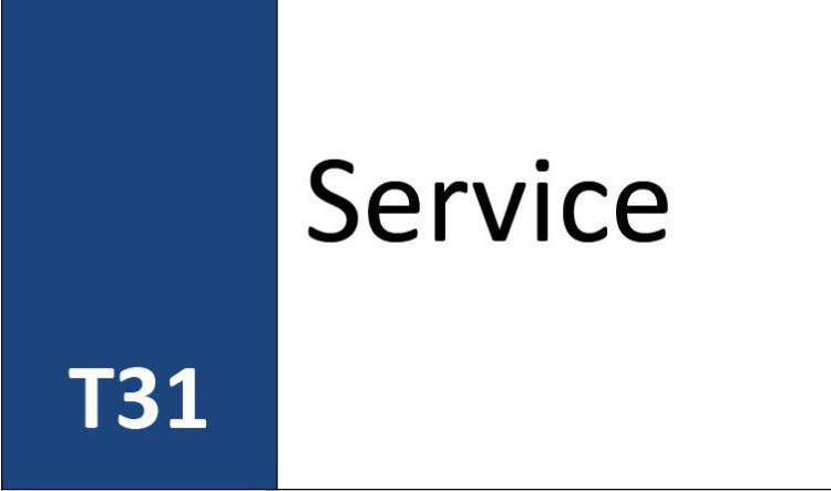 T31 Service