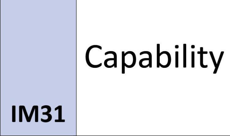 IM31 Capability