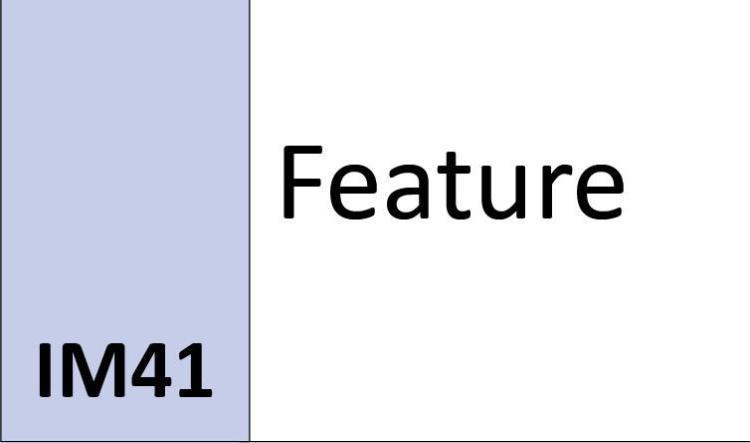 IM41 Feature