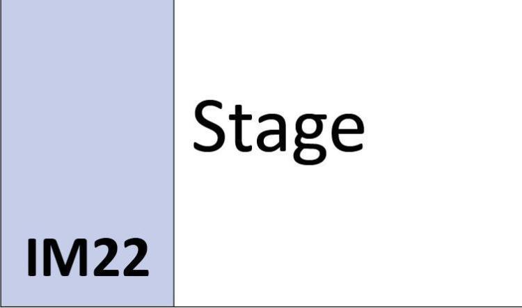 IM22 Stage