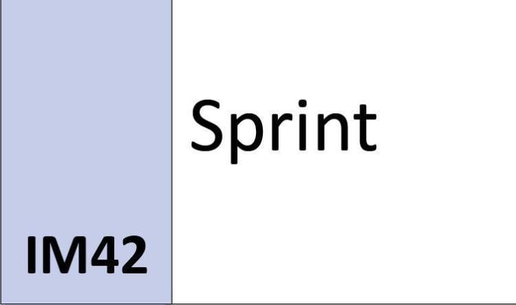 IM42 Sprint