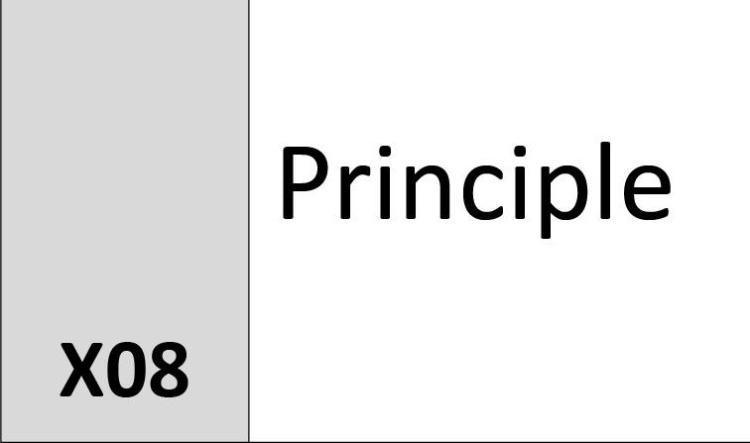 X08 Principle