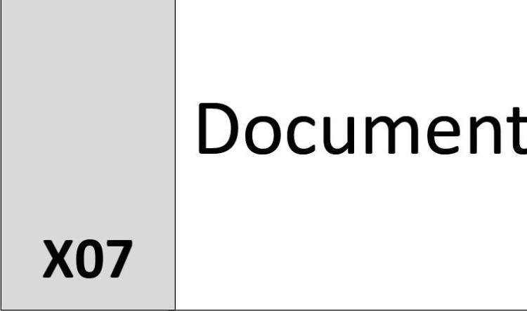X07 Document