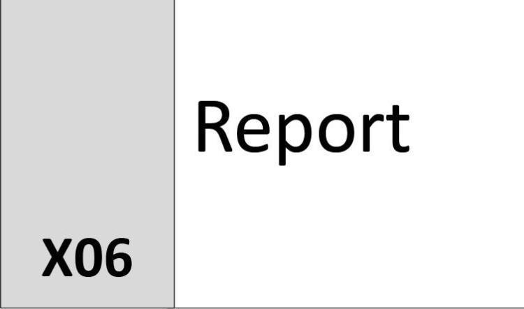 X06 Report