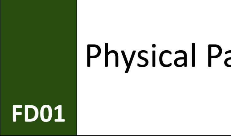 FD01 Physical Part (C)