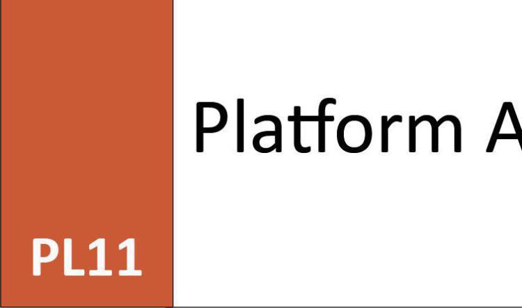 PL11 Platform Area