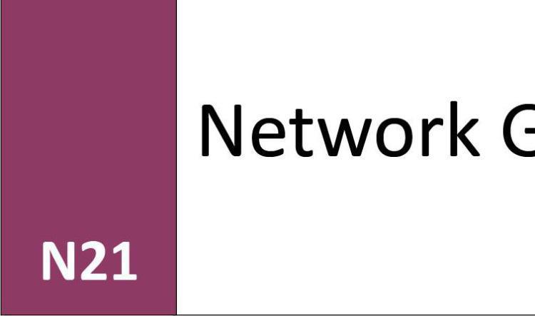 N21 Network Group 