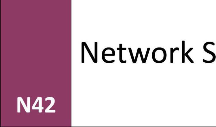 N42 Network Service 