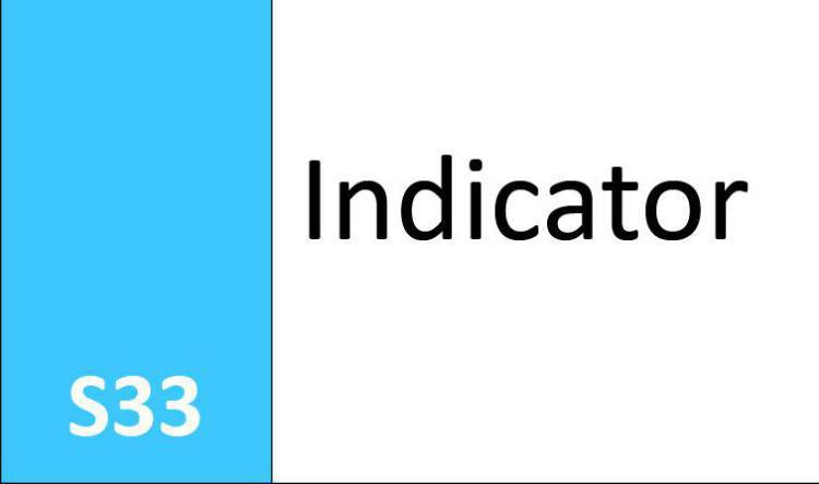 S33 Indicator 