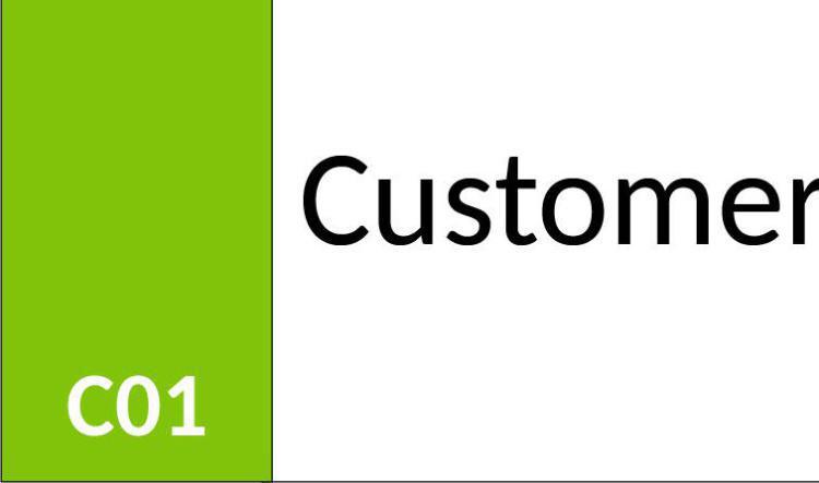 C01 Customer (C)