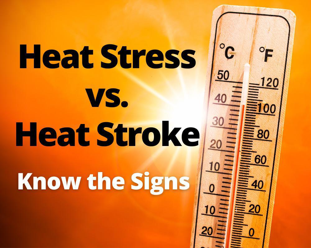 Heat Stress vs. Heat Stroke: Know the Signs