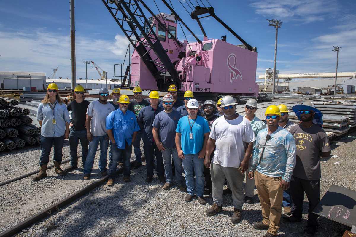 Pink crane stands as a reminder, honoring those affected by breast cancer