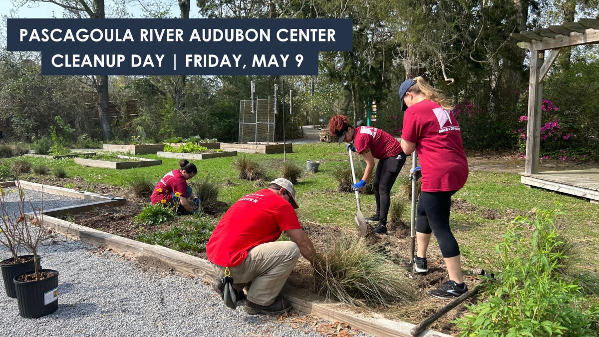 In the Community | Audubon Center clean-up happening Friday!