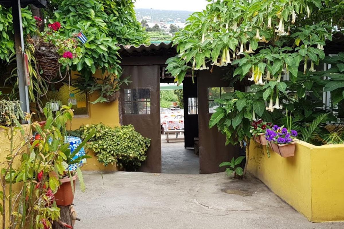 Guachinche El Cubano