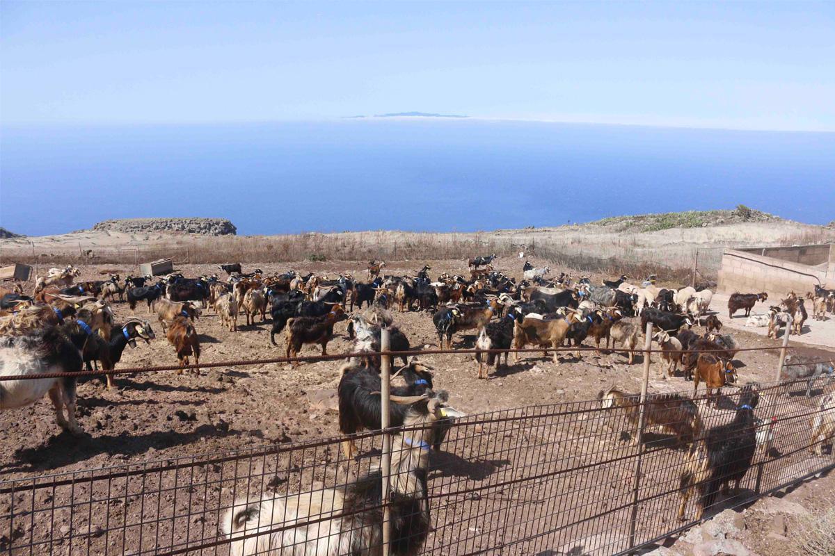 Quesería Naturteno (Naturteno Cheese Factory)