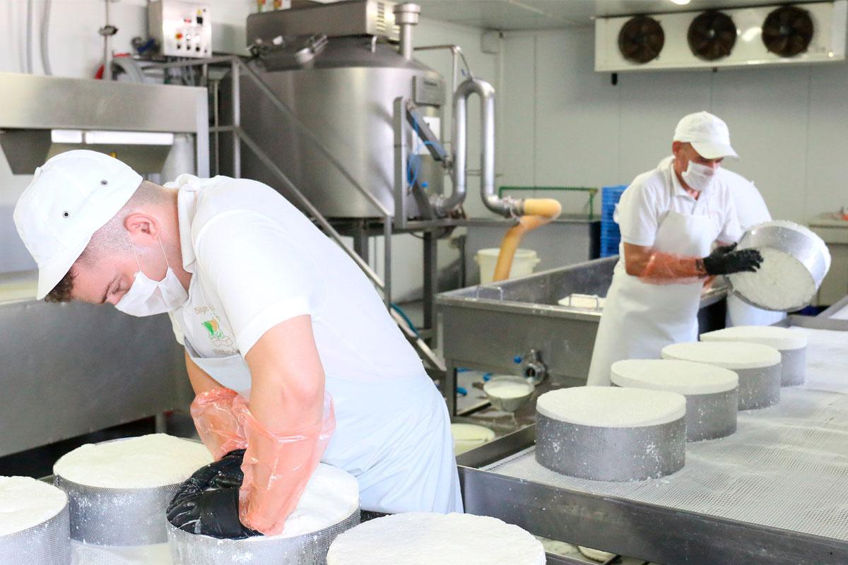 Visit and tasting at the Montesdeoca Cheese Factory