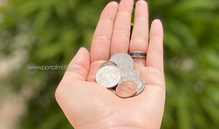 Conheça todas as moedas de dólares americanos