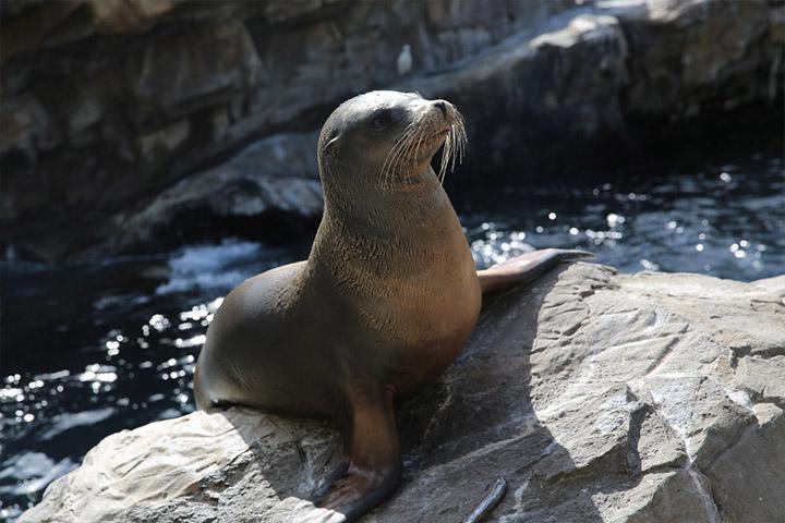 Orlando de janeiro à janeiro Orlando de janeiro à janeiro