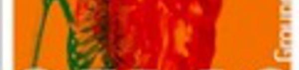 Comment je fais une échographie ?