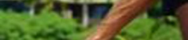 L' échelle de Blazina