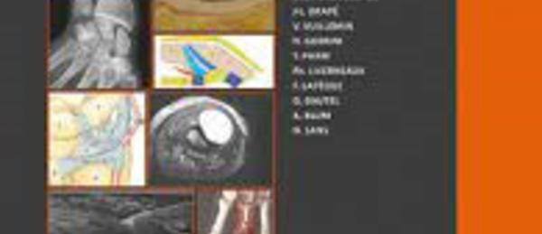 La main: 48èmes journées thématiques de la S.I.M.S