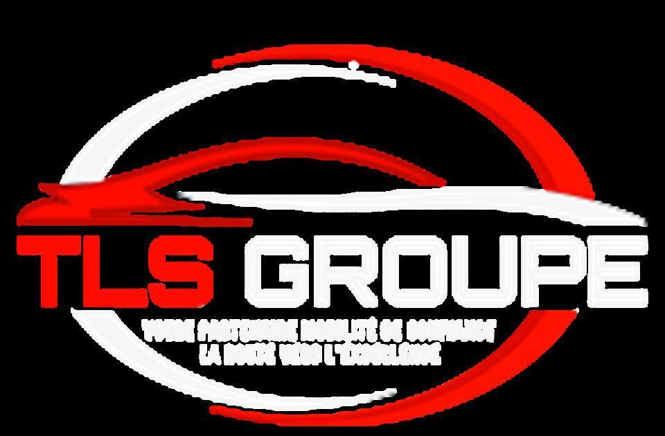  TLS TRANSPORT LIVRAISONS SERVICES