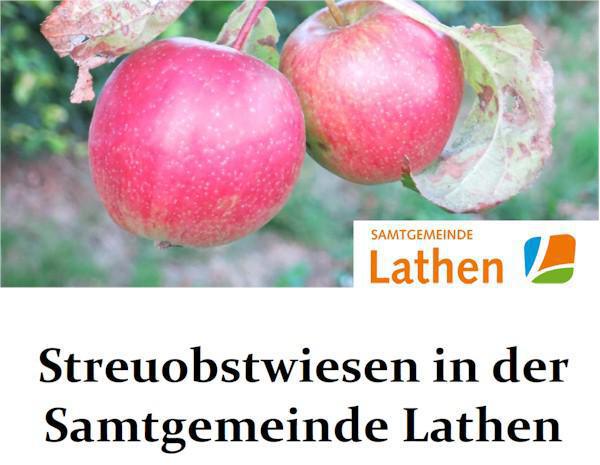 Lokale Agenda Lokale Agenda