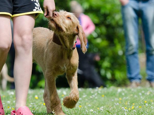 pro homine GmbH pro homine GmbH