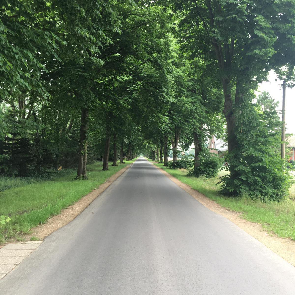 Wegebaukasse in Niederlangen-Siedlung gegründet