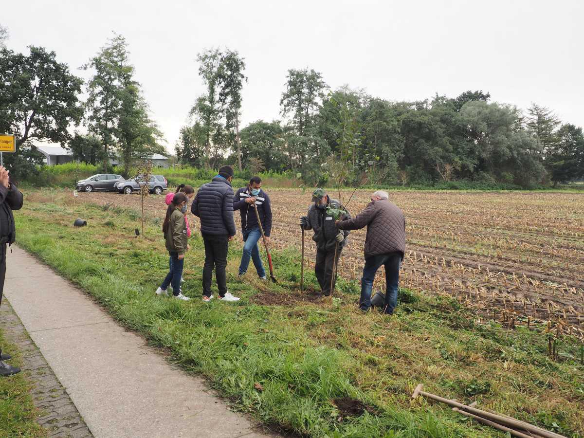 Streuobstwiese in Niederlangen angelegt