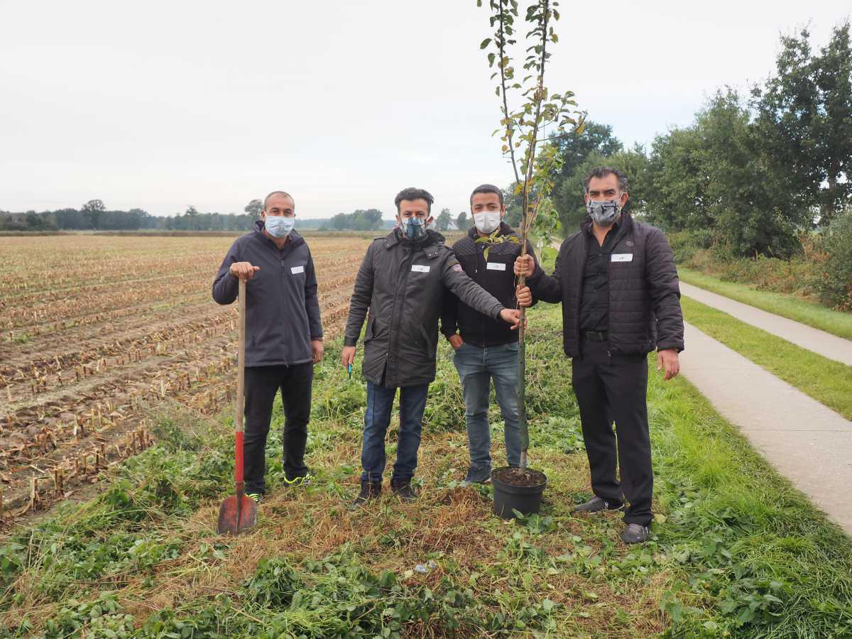 Streuobstwiese in Niederlangen angelegt