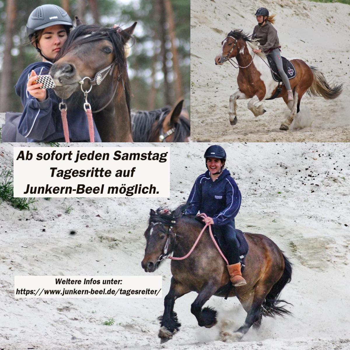 Tagesritte auf Junkern Beel Tagesritte auf Junkern Beel