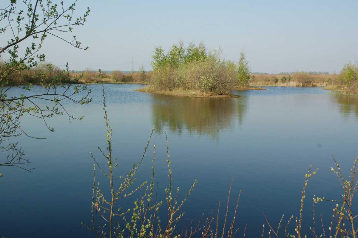 Stillgewässer Stillgewässer